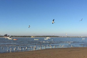 Magnífico piso luminoso en el centro Sanlúcar bda